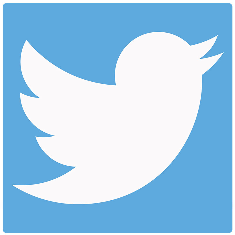 A picture of the Twitter logo.