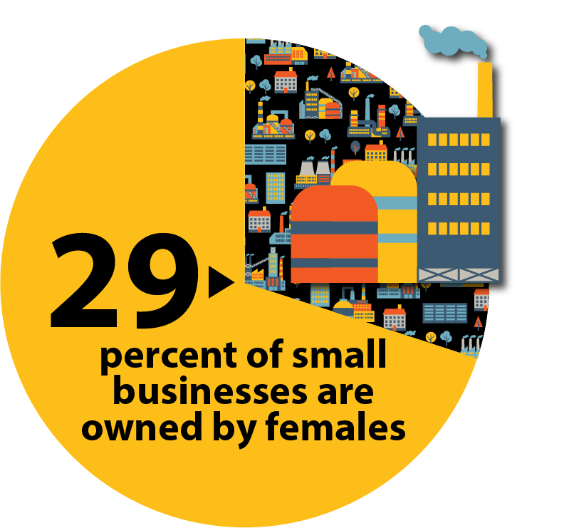 pie chart of businesses and factories showing a statistic that women-owned businesses have increased in ownership to 29%